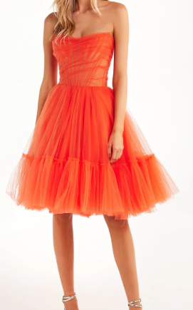 Strapless Tulle Mini Dress