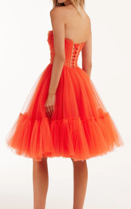 Strapless Tulle Mini Dress