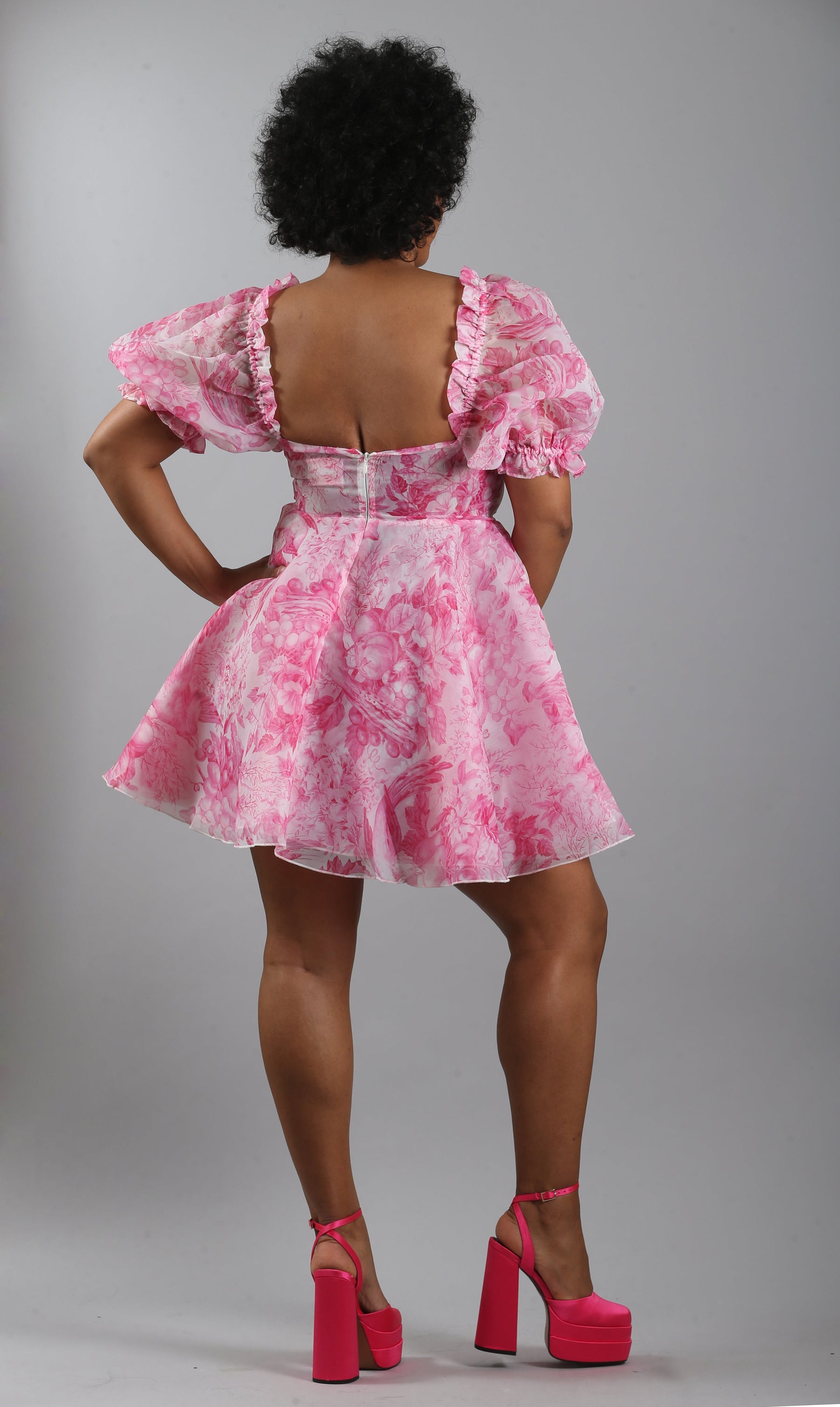 The Babydoll Toile Parliament Dress