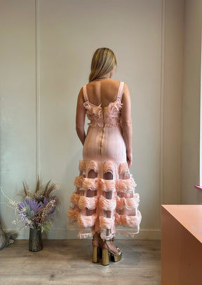 Alexander McQueen Nude Ruffle Midi Dress